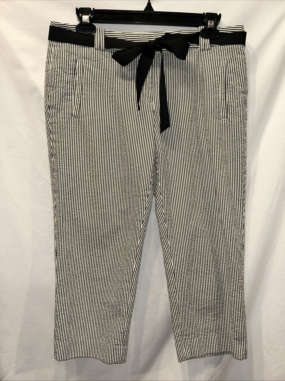 Ann Taylor Loft Women’s 6p Seersucker Marisa Capri Pants Blue/white Preppy